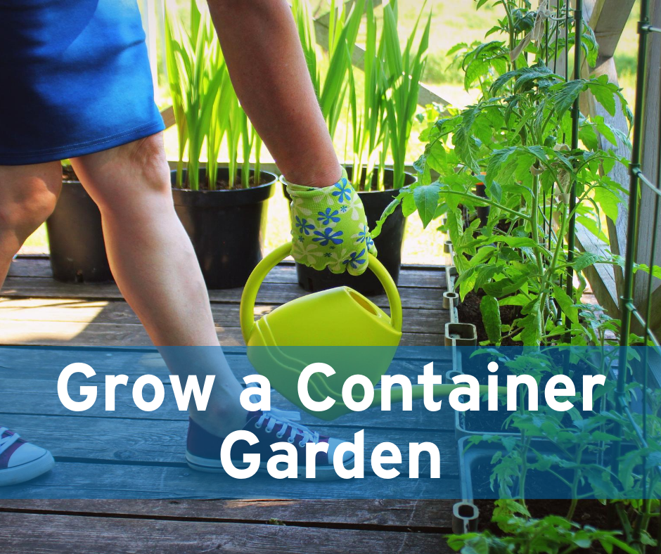 Grow a Container Garden